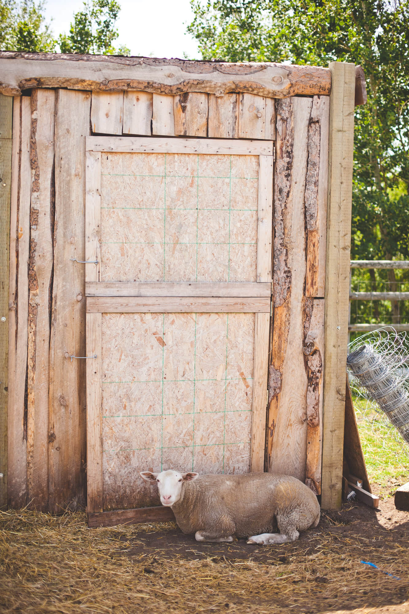 View More: http://jessicamorganphotos.pass.us/thegatheredfarm View More: http://jessicamorganphotos.pass.us/thegatheredfarm